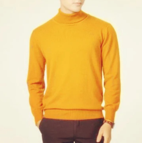 Elegant knit  turtleneck jumper men