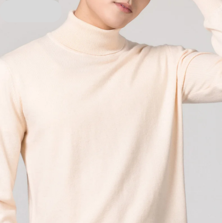 Elegant knit  turtleneck jumper men