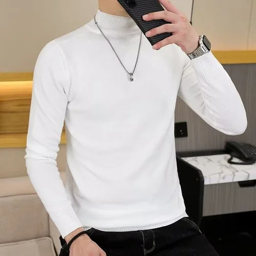 Elegant turtleneck jumper men