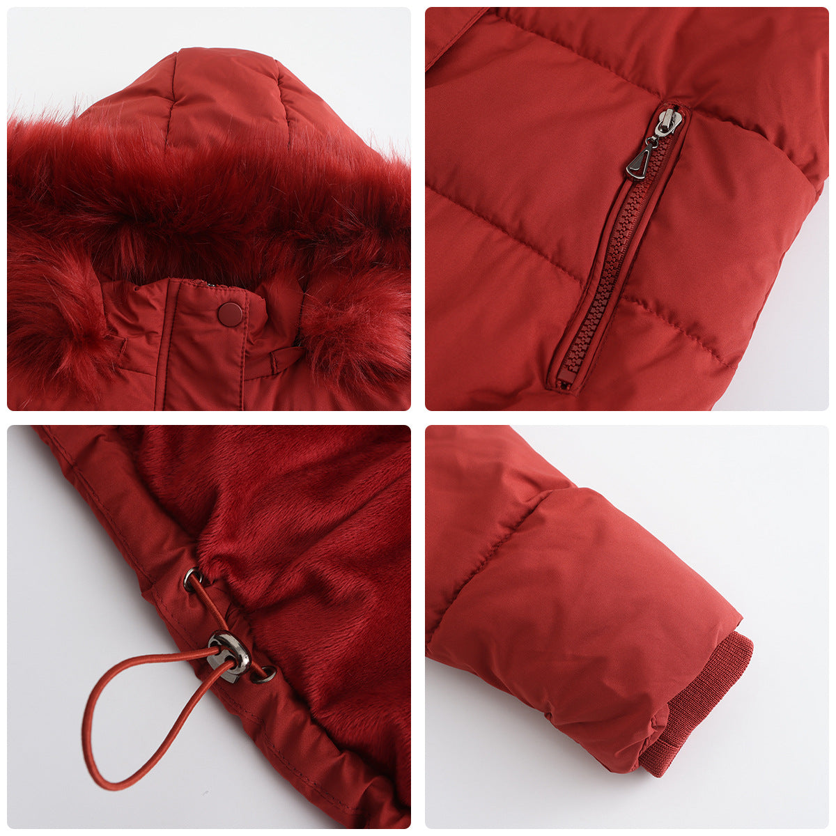 Women - Winter Jacket - Detachable Cotton Hood - Warm Stylish Outerwear for Cold Weather