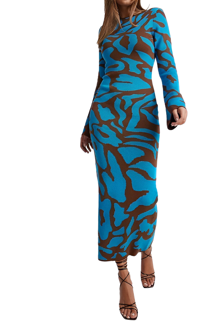 Slim-fit printed A-line dress