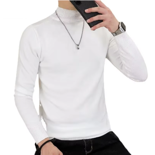 Elegant turtleneck jumper men