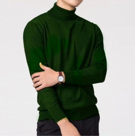 Elegant knit  turtleneck jumper men