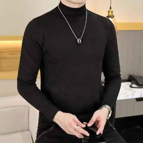 Elegant turtleneck jumper men