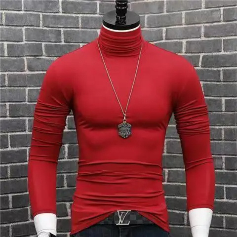 Elegant turtleneck jumper men - Fashionable turtleneck jumper