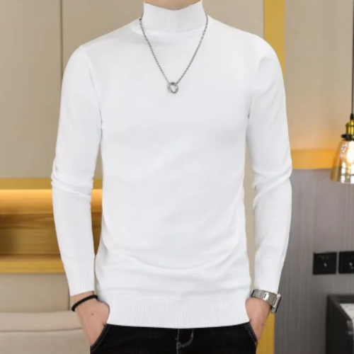 Elegant turtleneck jumper men