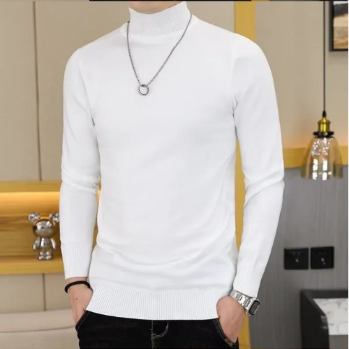 Elegant turtleneck jumper men