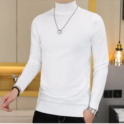 Elegant turtleneck jumper men