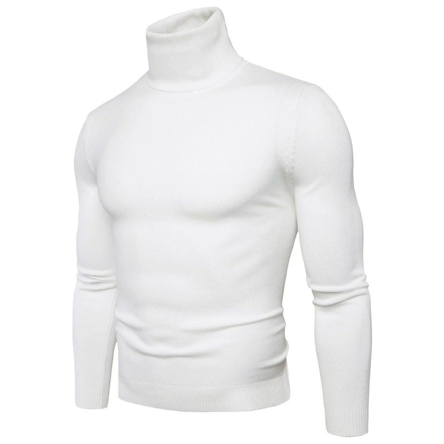 Soft Turtleneck jumper men