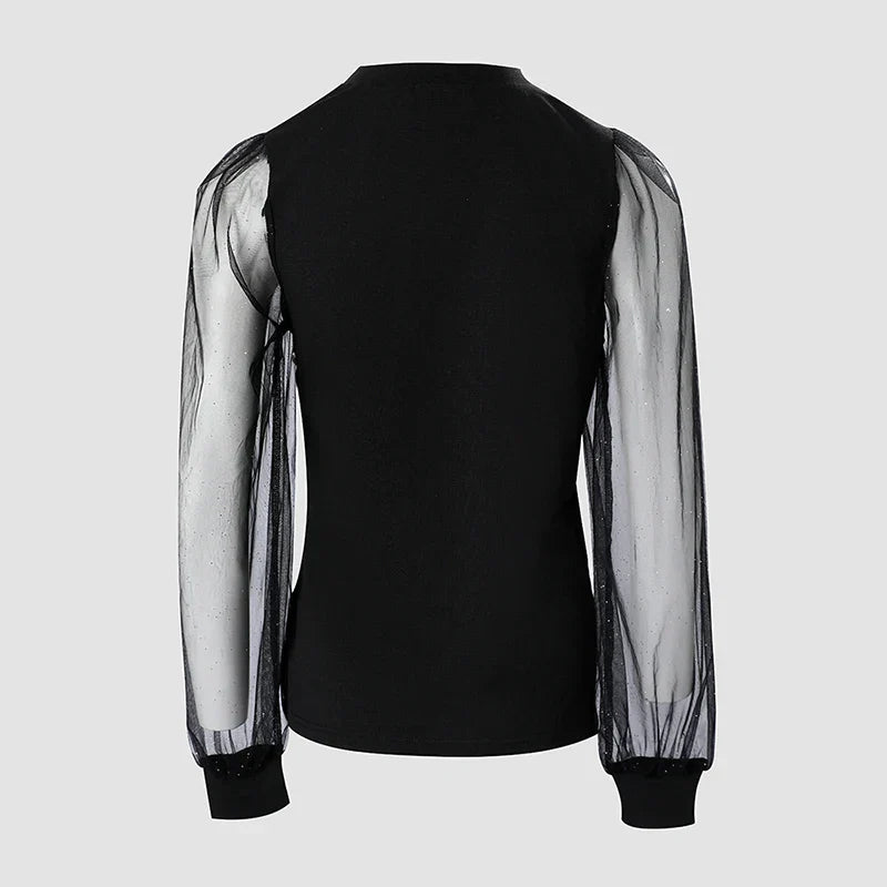 Glitter Translucent Long-Sleeved Mesh Top