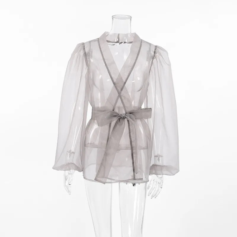 Translucent Organza blouse