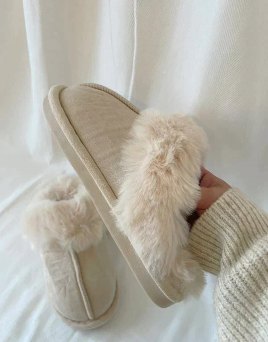 Teddy bear shoes